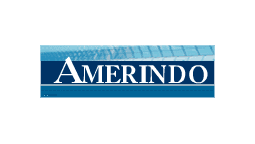 蓝色 Amerindo 文本标志